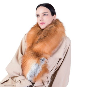 }t[ fB[X p Vo[tHbNXAt@[ ۉ g V[ lbNEH[}[ ~ nhCh GKg  ʋ ItBX