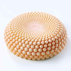 P[L^ p[[XP[L VR[h ی^ t` DIY fU[g^ َq  z[p[eB[ o^C NX}X a Cxg ٗpi