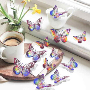 EH[XebJ[ 12 3D   N₩ Jt  `E` o^tC CeA Ǐ fR[VV[g k rO Q  _CjO oRj[(x2)