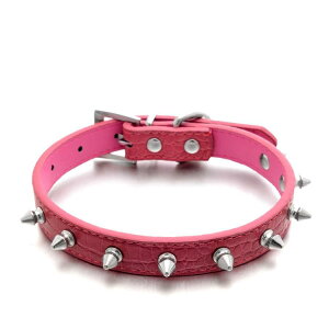 p ݂h~ XpCNX^bY eی^ `[J[ S[fgo[ TGh gCv[h ^ ^ ^ ybgpi