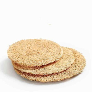 R[X^[ VRw`}~ a {~ `V[g   nhCh zQ p u |bg~