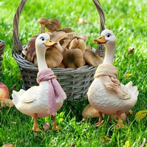 K[fsbN 킢 Aq _bN PVC 2Zbg  K[f  nʑ} O  fR[V I[ig IuWF(x2)