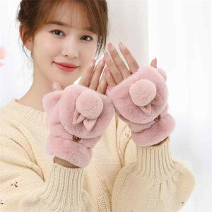  fB[X h ۉ wȂ tBK[X 2WAY N  ӂӂ  킢 ؍  w ʊw \ O[u