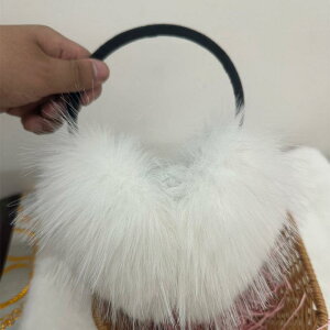 C[}t fB[X  h h tFCNt@[ 킢  w ʊw ʋ TCNO AEghA o ig ~ n 