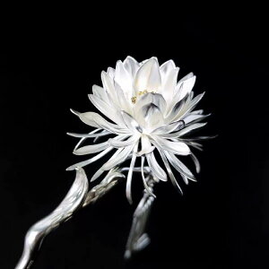 񂴂 fB[X p S925Vo[ dCbLH l t[ ԃ`[t ܂Ƃߔ  wAAW    g a @ ؂₩