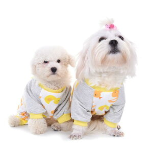  hbOEFA ^ ^ lrȂ p[X H~ Rbg ȑf K ʋC JWA  h ۉ 킢 U o