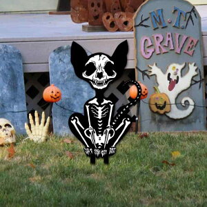 K[fsbN nEB ]r L AN O 뉀  ݎ VGbg sC z[ fR[V K[fjOpi(x2)