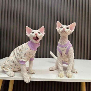 Lp ^Ngbv ₦h~ ʋCQ yʔ ԕ ԕ 킢 t єL XtBNX f{bNX ybg LbgEFA |GXe [EFA U