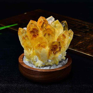 u VR Vg NX^[  XPgNH[c rO ItBX CeA _ Vv p[Xg[  q[O J^ NX^ IuWF zCgNH[c EH