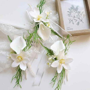 RT[W  EFfBO QXg I p[eB[ Zj[ Cxg XgRT[W   A[gt[  J[ Ӓ u[` z Mtg 蕨