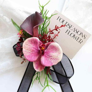 RT[W   I EFfBO QXgp u[gjA XgRT[W Xgu[P Cbh {h[ J[[  z A[gt[