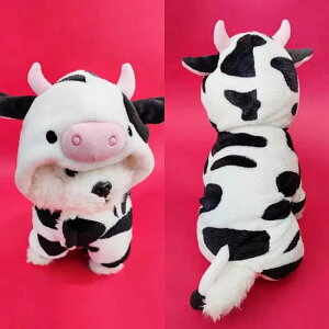 ybg 킢 N   ϐg RX`[ ^ Lp  nEB H~ h hbOEFA