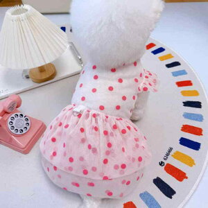 ybgEFA ڐG⊴  Ăh~ іh~ p Lp xXg ^Ngbv ^ ^ ^ R[M[ rVt[[ |jA t