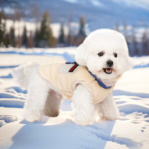  ^p t[Xf  ۉ [ht ӂӂ ȓ R[g JWA ؍ H~ ybgEFA