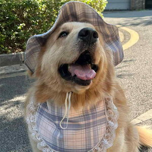 p X^C ^ 悾ꂩ o_i 킢 LN^[fUC JWA |GXef F`FbN [X I[V[Y ybg ANZT[