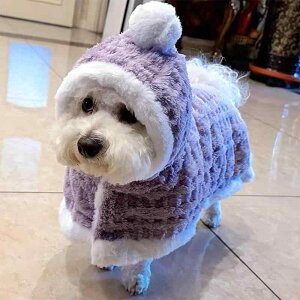 hbOEFA  L H~p    ۉ h ₷ P[v }g X[p[ uPbg pW} [EFA ^ ^ rVt[[ gCv[h 