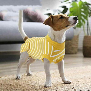 ybgpp㕞  L p rߖh~ ی XgXy Jo[EFA I[C GUxXJ[ Rbgf 앞 Ȃ