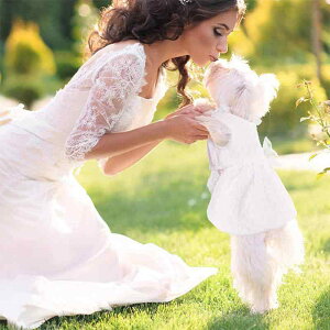   ^p  y ʋC  EFfBOhX  p[eB[ LO vZXC XEB[g K[[ t