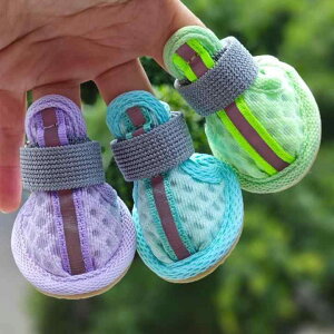 hbOV[Y ^p [NV[eA eB[Jbvv[h 2.5kgȉ ʋC bV S h ϖՐ Lk Up 4Zbg