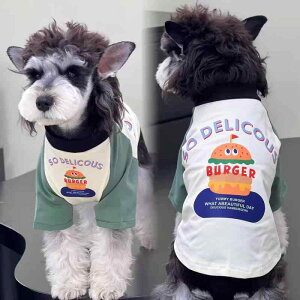  ^ qp єh~ ʋCQ y  t OX[u 񑫃^Cv |GXef  U ViEU[ rVt[[ |jA ؍