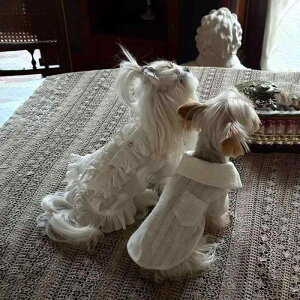 hbOEFA t  ڐG⊴ K 킢 N[Vc s[X rVt[[ [NV[eA ^ ^ U |GXe