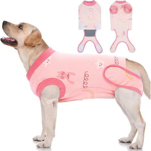 p p㕞 rߖh~ ё΍ Dp 앞  Rbg  lrp[X tėp y ʋC sN JWA ^ ^ jp