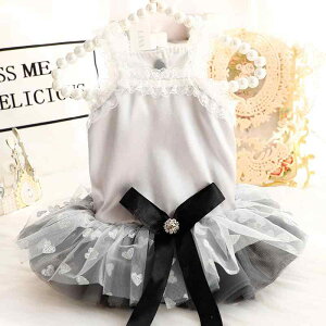  L ^p ̎q  tėp vZXhX oG `` ӂӂ gCv[h ȑf O[ ybgEFA s[X 킢 U