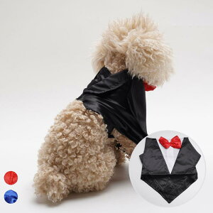  ^ tH[}  p[eB[ 畞 X[c Zbg lN^Ct  킢  am hbOEFA |GXe bh u[