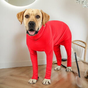  ^ ^p  ۉ h |GXef  lrJo[I[ ߋ@\t JWA H~ U  uh[ Hc