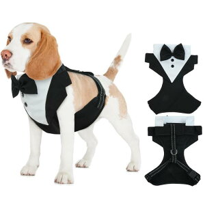 pn[lX ^LV[h X[c fUC [h Zbg |GXef  킢 U o  EFfBO p[eB[ Cxg a LO ^ ^ S M L 