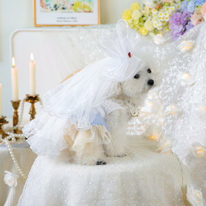 ybg Lp ^ ^ vZX {[ `` `[ ӂӂ hX s[X XJ[g t AX o p[eB[ Cxg LO Ԃn[g wbhh