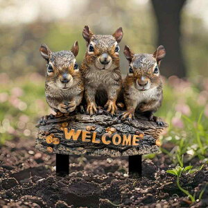 K[fsbN NX}X {w~A Jg[  AN nݎ K[fI[ig Op  GgX v[g  IuWF fR[V