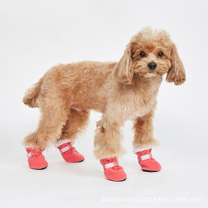 ybgV[Y  Lp Xm[u[c H~ V[v{A ȓ h h h ۉ ϖ XEF[h JWA ^p U ~pC