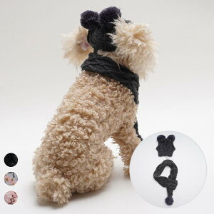 ybgp Xq }t[ Zbg  L AN jbg  h || NX}X ̌ `FbN 킢  ~ U o ʐ^Be ObY