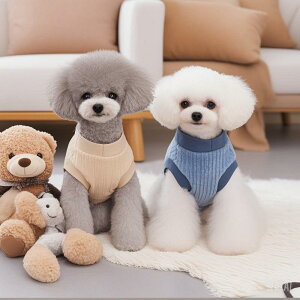 ybgEFA p hbOEFA H~ g h t[X {A RR { Ȃ xXg c u JWA ؍ jZbNX 킢 U 