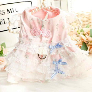 Lps[X hX ^ ^ efB L t   vZX ԕ [X [hʂt ȑf U o JWA u[ sN