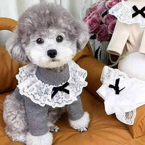  ^ Lp H~ ۉ h  [X t { 킢 vZX t[ht XEFbg p[J[ rV |jA gCv[h hbOEFA LbgEFA 