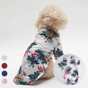 ybgEFA p nCA t[c pCibv V̖؃fUC r[` ][g Vc |GXef ʋC y U o t ^ ^ ^