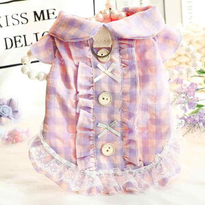 Vc ^ L efB vZX t  ڐG⊴ 킢 Rbg [ht U  IW CG[ p[v sN