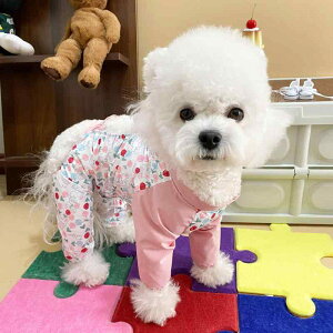 hbOEFA p 킢  rVt[[ gCv[h ^ ^ Up h~ I[V[YΉ `[bv  |GXe hbOpc