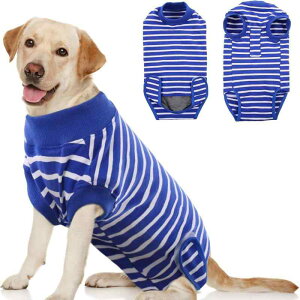 pp㕞 ^ ^ ^ D pPA 앞 Lk Xgb`f ̂ɃtBbg GUxXJ[  Rbg {[_[ j̎q ̎q p