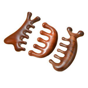 }bT[WR[ o PA tFCXPA  { hؐ ܖ{w^Cv wbhXp N  wA[PA bNX 