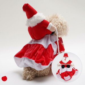 ybgEFA ^p ̃T^N[X NX}X ϐgRX`[ ʔ ߑ  p[eB[ Cxg bh |GXe