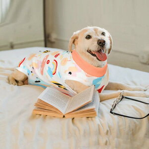 pp㕞 D rߖh~ Lk ʋC Rbg  GUxXJ[ p񕜃EFA JWA \tg IW