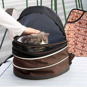 ybgL[ bN ʋCQ ڐG⊴ ėp | |[^u Lp p ^ o U s ЊQ IbNXtH[hn bVn u[ ubN CG[ J[L