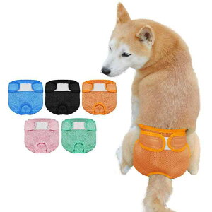 pTj^[pc  ʋC K bVf EGXg߉\ Soh Rh~ ^ ^ ^  ΍ ނJo[ 􂦂 |GXe LxȃJ[TCY