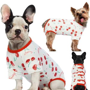 ybgp㕞 pc  L D 앞 Rh~ Y R ی앞 ȑf AC{[zCg ی rߖh~ Lk ʋC