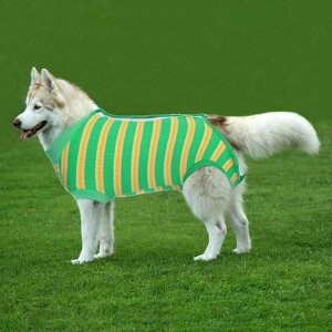 pp㕞  D p 񕜕 앞 rߖh~ ݂h~ ʋCQ y \tg  Rbgf XgXy K ^ ^ ^ Ή GUxXJ[