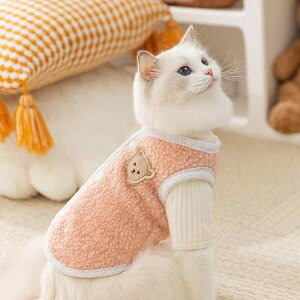 ybgEFA L  H~  ۉ efBt[X xXg t[X Ci[ 2_Zbg  ؃X^C h |GXe U 