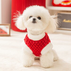 ybgEFA  g ^p pCibv t[X  NNn   L gCv[h rVt[[ [EFA h 킢 bh hbOEFA Lbg